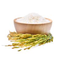 beras gandrung